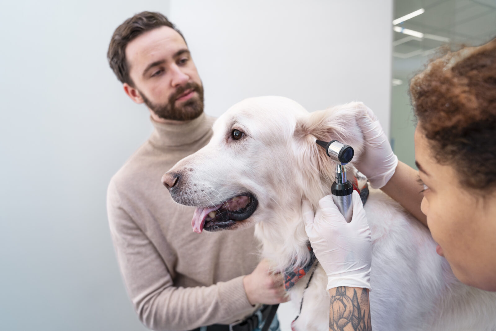 Veterinary client during the examination of his pet