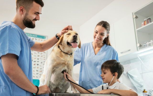 Veterinarians-petting-dog-boy-with-stethoscope
